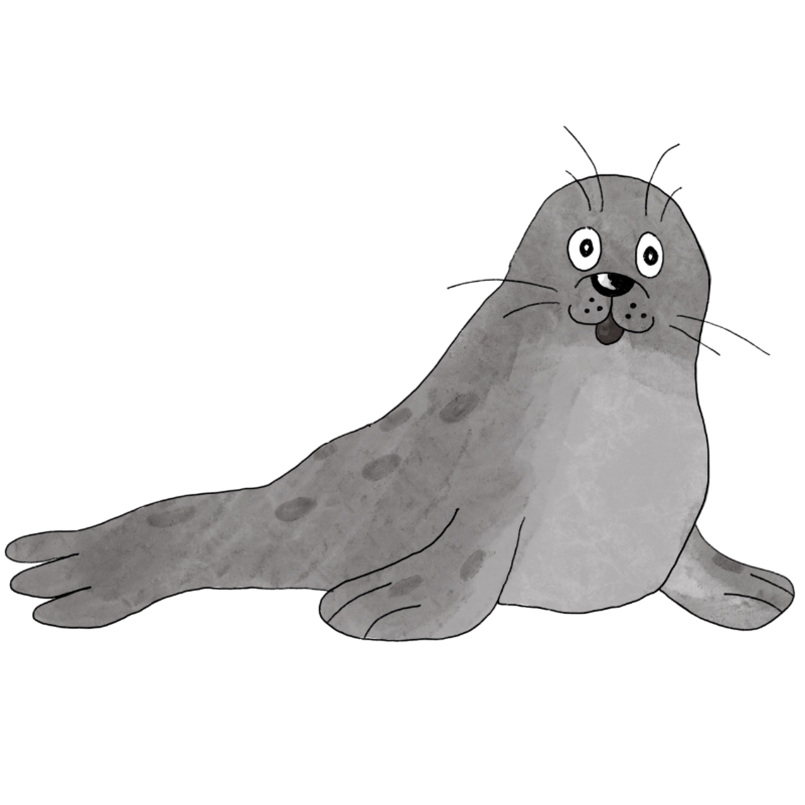 Sæl